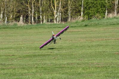 img_5555_-_copy_20110409_1822846517.jpg